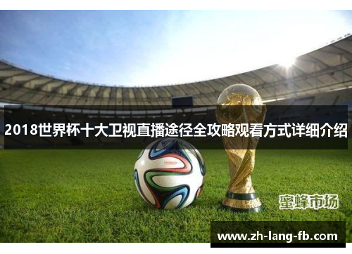 2018世界杯十大卫视直播途径全攻略观看方式详细介绍
