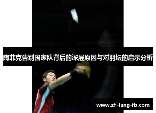 陶菲克告别国家队背后的深层原因与对羽坛的启示分析 陶菲克告别国家队背后的深层原因与对羽坛的启示分析