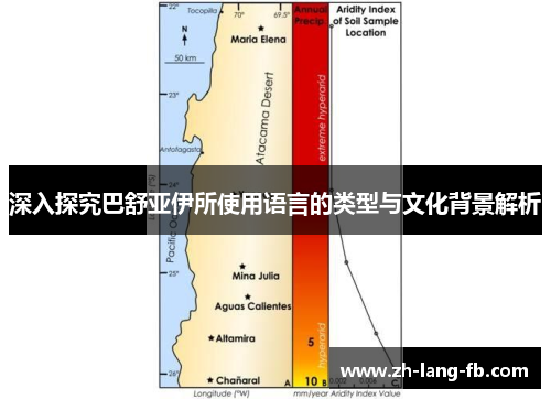 深入探究巴舒亚伊所使用语言的类型与文化背景解析 深入探究巴舒亚伊所使用语言的类型与文化背景解析