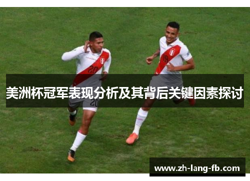 美洲杯冠军表现分析及其背后关键因素探讨