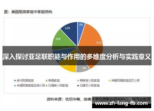 深入探讨亚足联职能与作用的多维度分析与实践意义 深入探讨亚足联职能与作用的多维度分析与实践意义