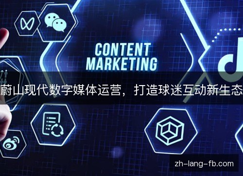 蔚山现代数字媒体运营，打造球迷互动新生态